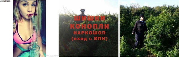 ALPHA PVP Богданович