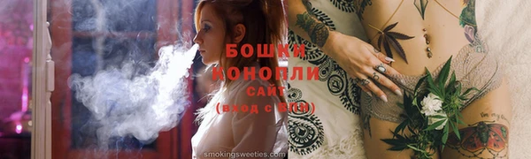сатива Балахна