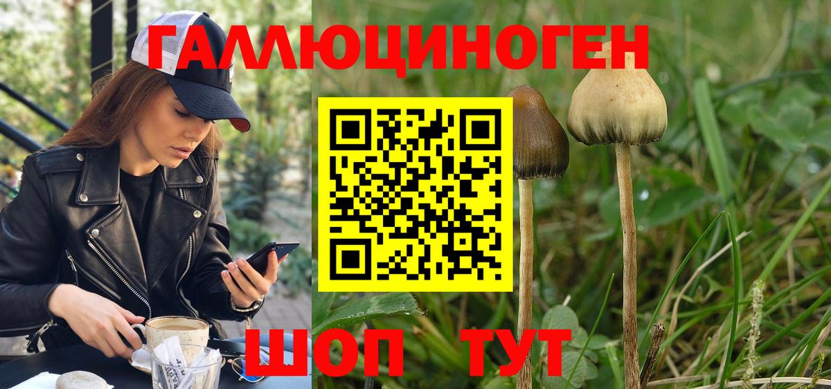 Галлюциногенные грибы Magic Shrooms  Вход с VPN  Галлюциногенные грибы Psilocybine cubensis  что такое наркотик  Пятигорск 