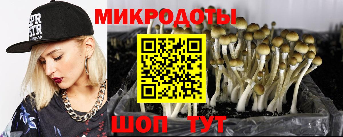 Галлюциногенные грибы Magic Shrooms Пятигорск