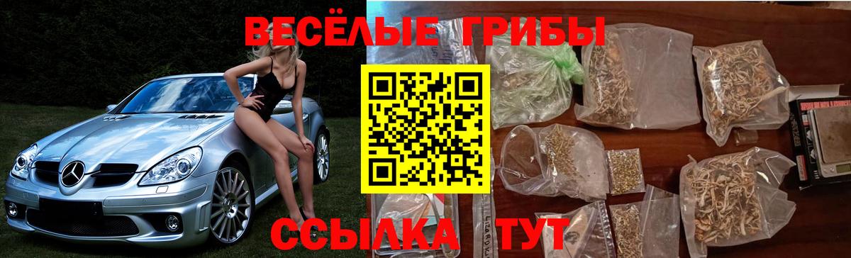 Галлюциногенные грибы мухоморы  Пятигорск  Псилоцибиновые грибы GOLDEN TEACHER 