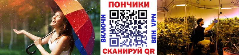 Каннабис сатива  где найти наркотики  Пятигорск 